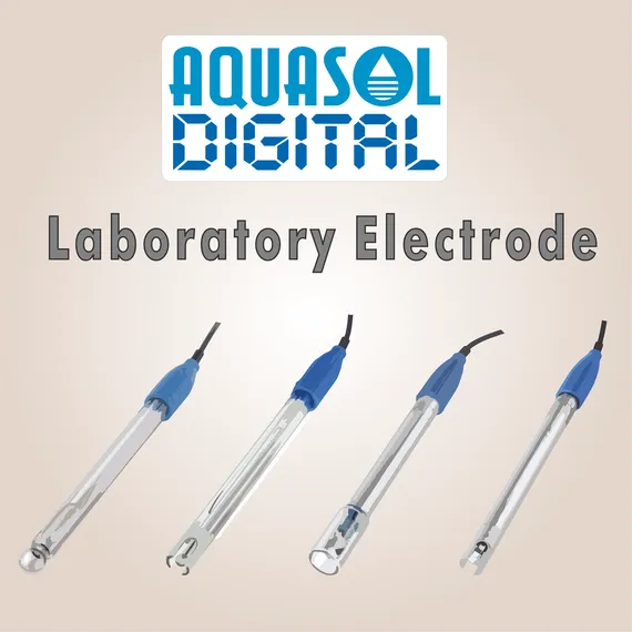 Electrodes and Sensors